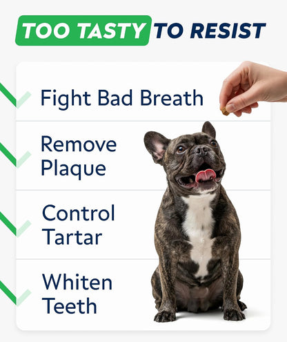 Advanced Dog Dental Chews & Breath Freshener