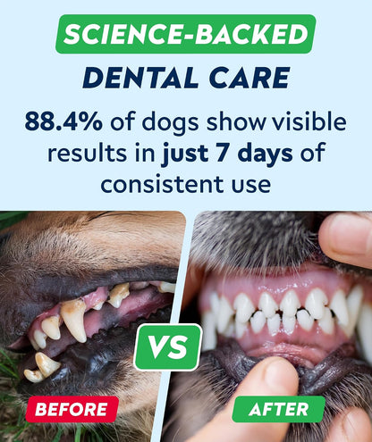Advanced Dog Dental Chews & Breath Freshener