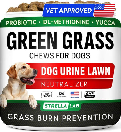 Advanced Dog Dental Chews & Breath Freshener