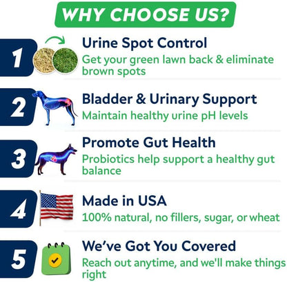 Advanced Dog Dental Chews & Breath Freshener