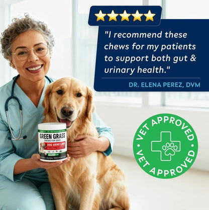 Advanced Dog Dental Chews & Breath Freshener