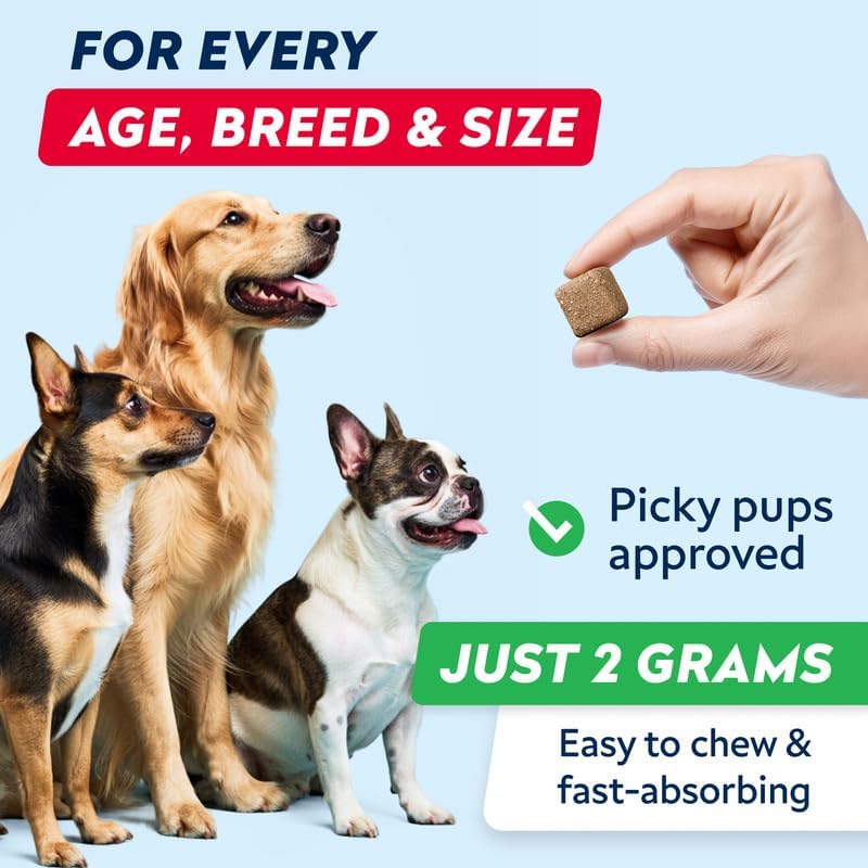 Advanced Dog Dental Chews & Breath Freshener