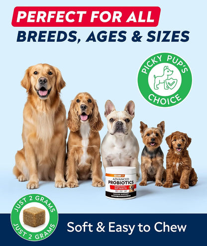 Advanced Dog Dental Chews & Breath Freshener