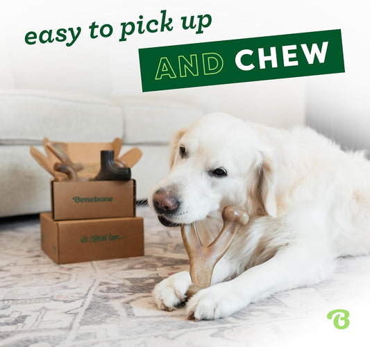 Medium Dog Toys for Aggressive Chewers – Under 60 lbs
