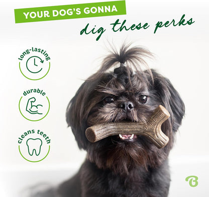 Medium Dog Toys for Aggressive Chewers – Under 60 lbs