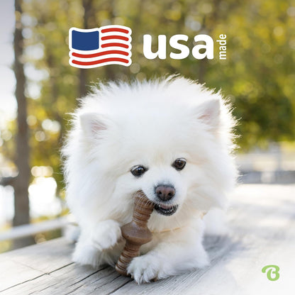 Medium Dog Toys for Aggressive Chewers – Under 60 lbs