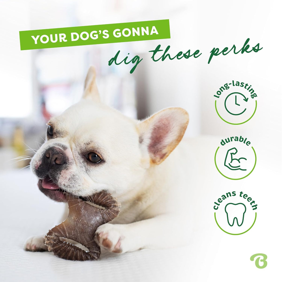 Medium Dog Toys for Aggressive Chewers – Under 60 lbs