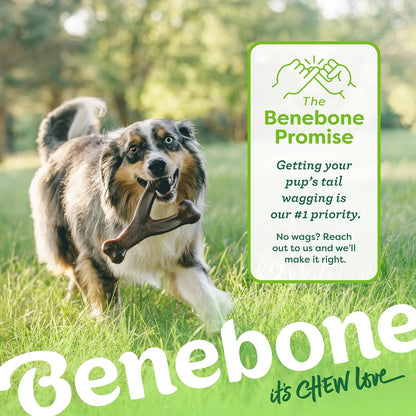 Medium Dog Toys for Aggressive Chewers – Under 60 lbs