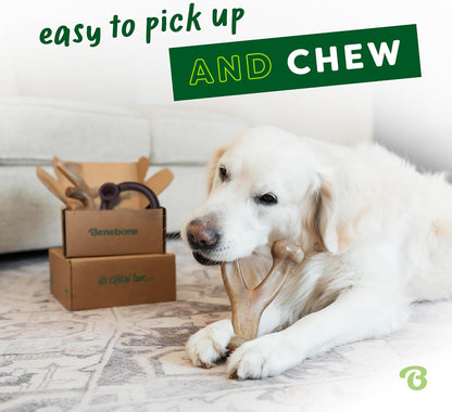 Medium Dog Toys for Aggressive Chewers – Under 60 lbs