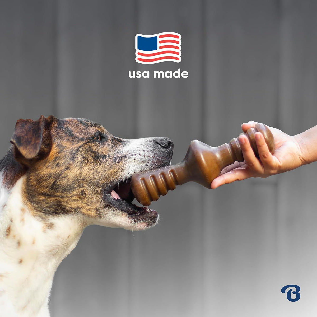 Medium Dog Toys for Aggressive Chewers – Under 60 lbs