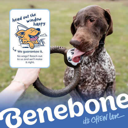 Medium Dog Toys for Aggressive Chewers – Under 60 lbs