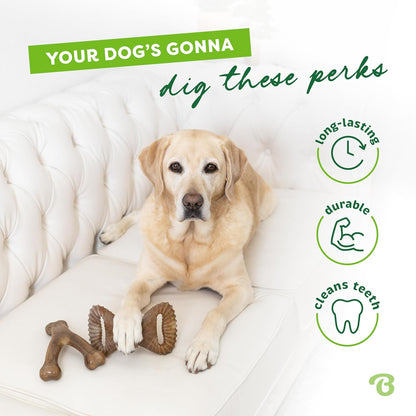 Medium Dog Toys for Aggressive Chewers – Under 60 lbs