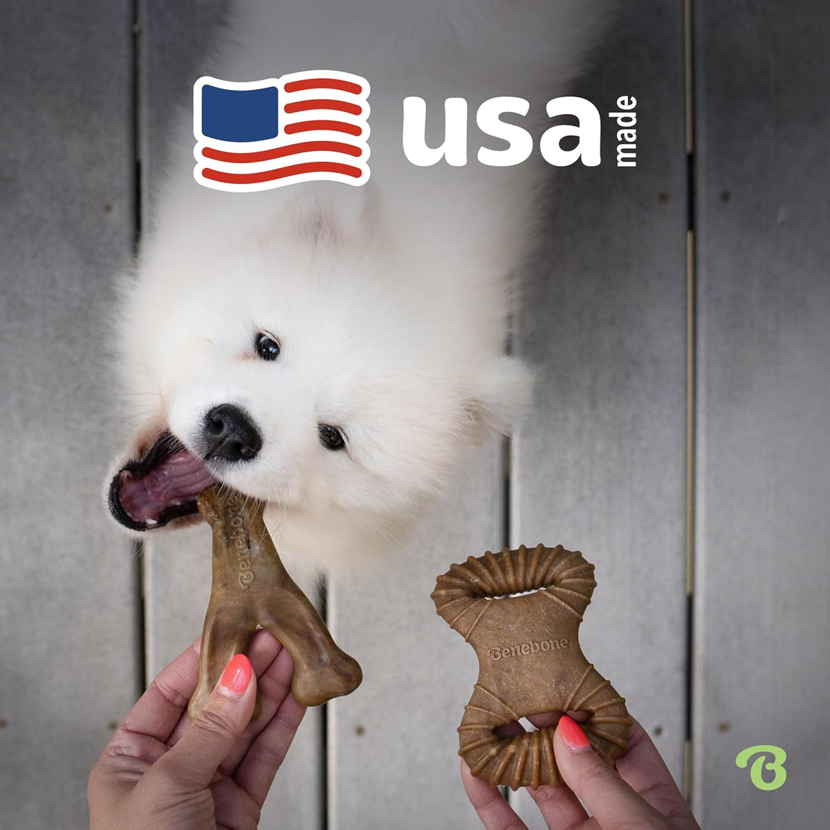 Medium Dog Toys for Aggressive Chewers – Under 60 lbs
