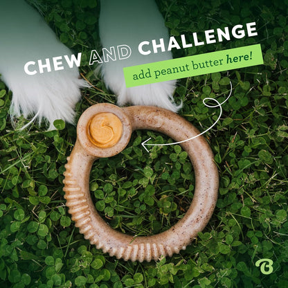 Medium Dog Toys for Aggressive Chewers – Under 60 lbs