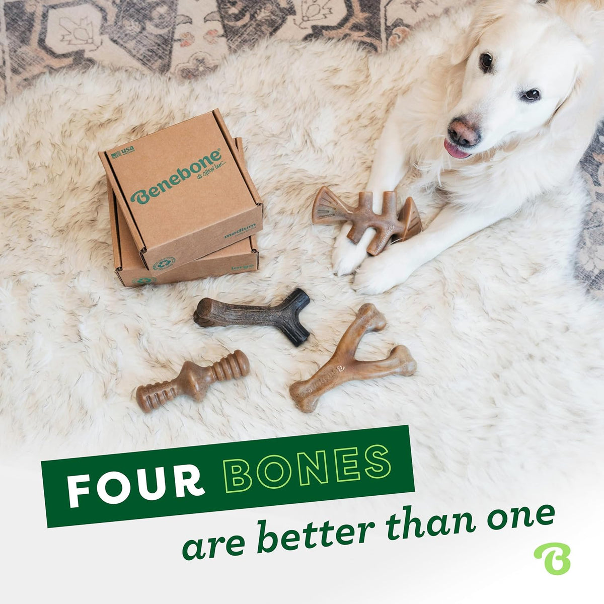 Medium Dog Toys for Aggressive Chewers – Under 60 lbs