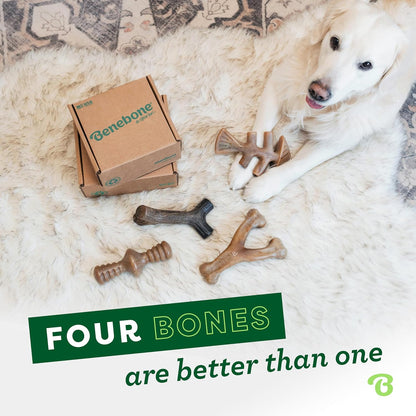 Medium Dog Toys for Aggressive Chewers – Under 60 lbs