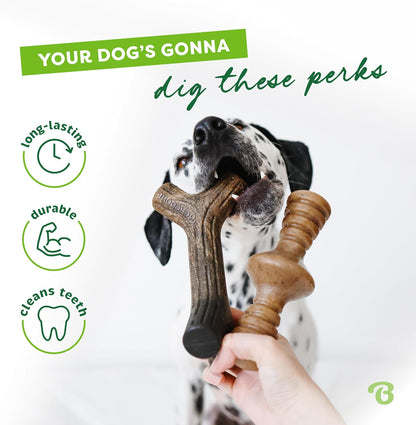 Medium Dog Toys for Aggressive Chewers – Under 60 lbs
