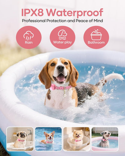 Shock Collar for 5-30lbs Mini Small Dogs,4200FT Range,White