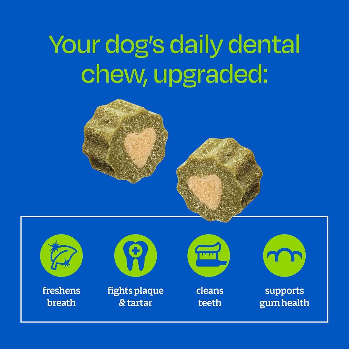 Brushless Toothpaste Dog Dental Chews - Large Breeds (10 ct)
