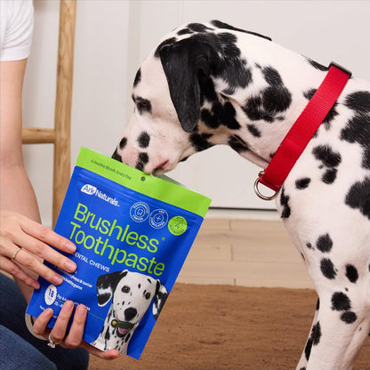 Brushless Toothpaste Dog Dental Chews - Large Breeds (10 ct)