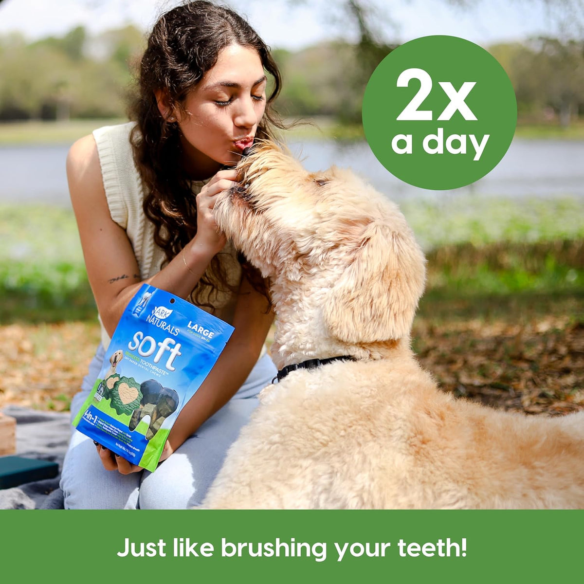 Brushless Toothpaste Dog Dental Chews - Large Breeds (10 ct)