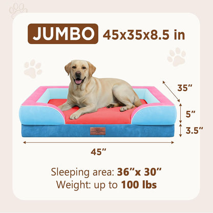 Waterproof Orthopedic Dog Bed for Extra Large Dogs | Supportive Egg Crate Foam XL Pet Bed with Removable Bolster, Dog Couch with Washable Cover & Non-Slip Bottom, 42x30 Inch - Colors A