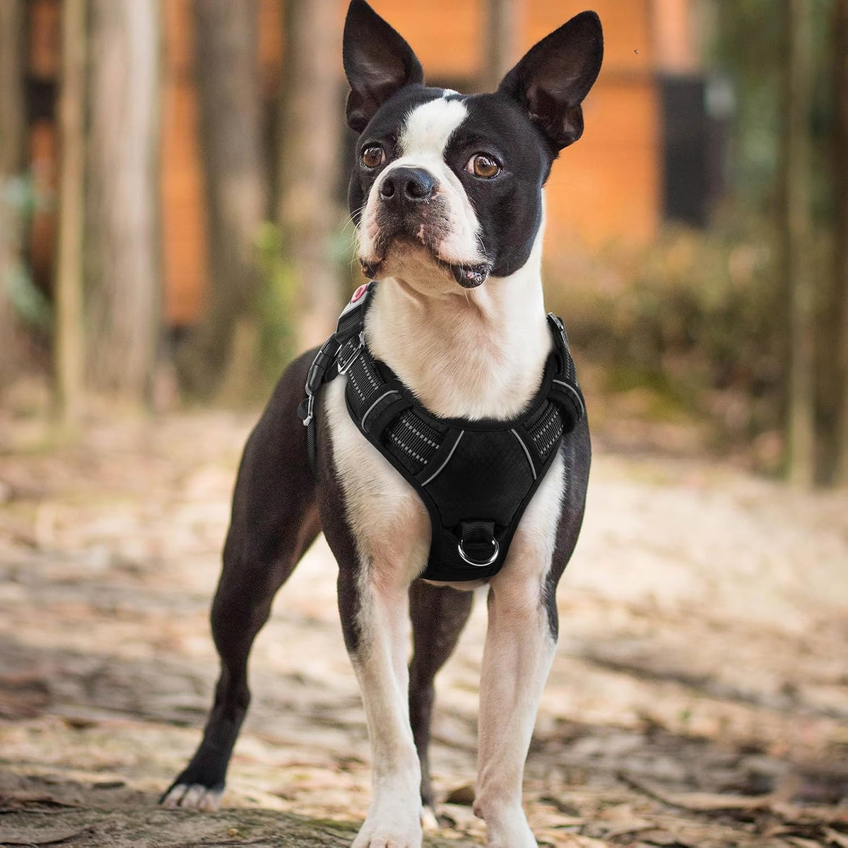 Dog Harness for Large, No Pull 3 Buckles Easy On & Off | Soft Padded, Walking with Control Handle, Adjustable and Reflective, Pink, Large