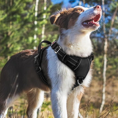 Dog Harness for Large, No Pull 3 Buckles Easy On & Off | Soft Padded, Walking with Control Handle, Adjustable and Reflective, Pink, Large