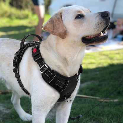 Dog Harness for Large, No Pull 3 Buckles Easy On & Off | Soft Padded, Walking with Control Handle, Adjustable and Reflective, Pink, Large
