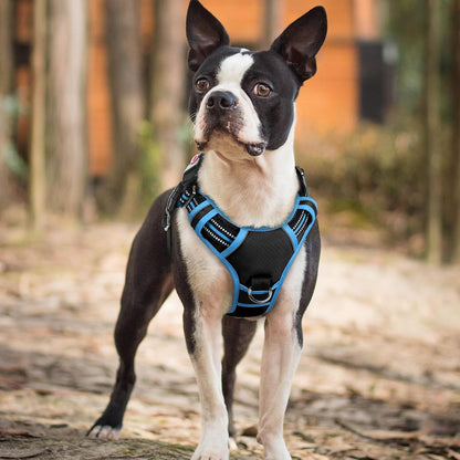 Dog Harness for Large, No Pull 3 Buckles Easy On & Off | Soft Padded, Walking with Control Handle, Adjustable and Reflective, Pink, Large