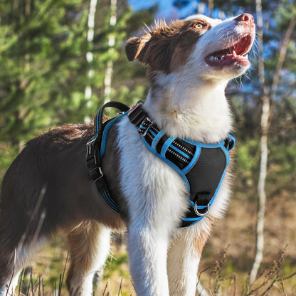 Dog Harness for Large, No Pull 3 Buckles Easy On & Off | Soft Padded, Walking with Control Handle, Adjustable and Reflective, Pink, Large