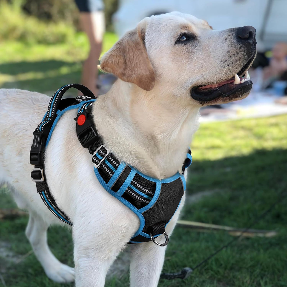 Dog Harness for Large, No Pull 3 Buckles Easy On & Off | Soft Padded, Walking with Control Handle, Adjustable and Reflective, Pink, Large
