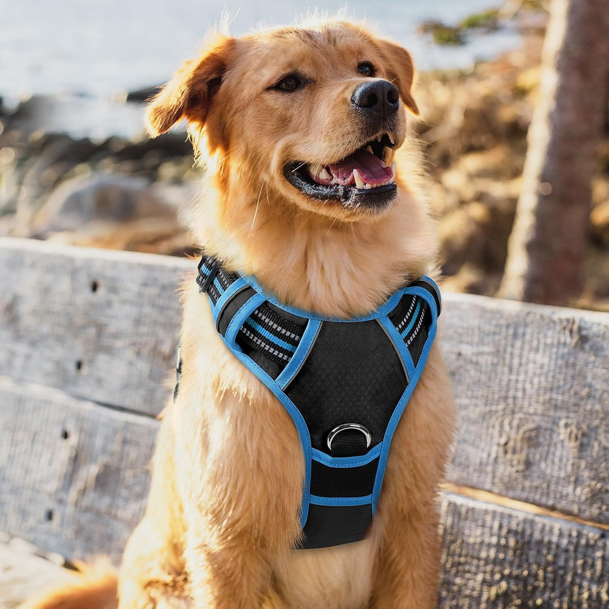 Dog Harness for Large, No Pull 3 Buckles Easy On & Off | Soft Padded, Walking with Control Handle, Adjustable and Reflective, Pink, Large