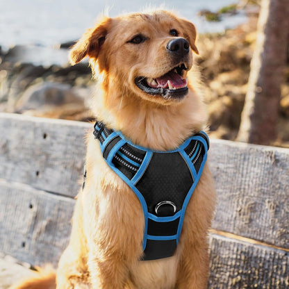Dog Harness for Large, No Pull 3 Buckles Easy On & Off | Soft Padded, Walking with Control Handle, Adjustable and Reflective, Pink, Large