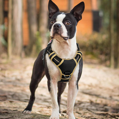 Dog Harness for Large, No Pull 3 Buckles Easy On & Off | Soft Padded, Walking with Control Handle, Adjustable and Reflective, Pink, Large
