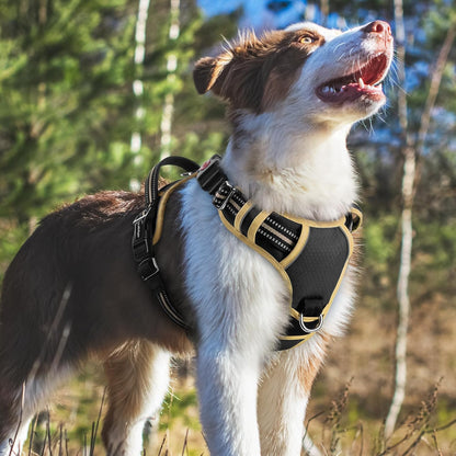 Dog Harness for Large, No Pull 3 Buckles Easy On & Off | Soft Padded, Walking with Control Handle, Adjustable and Reflective, Pink, Large
