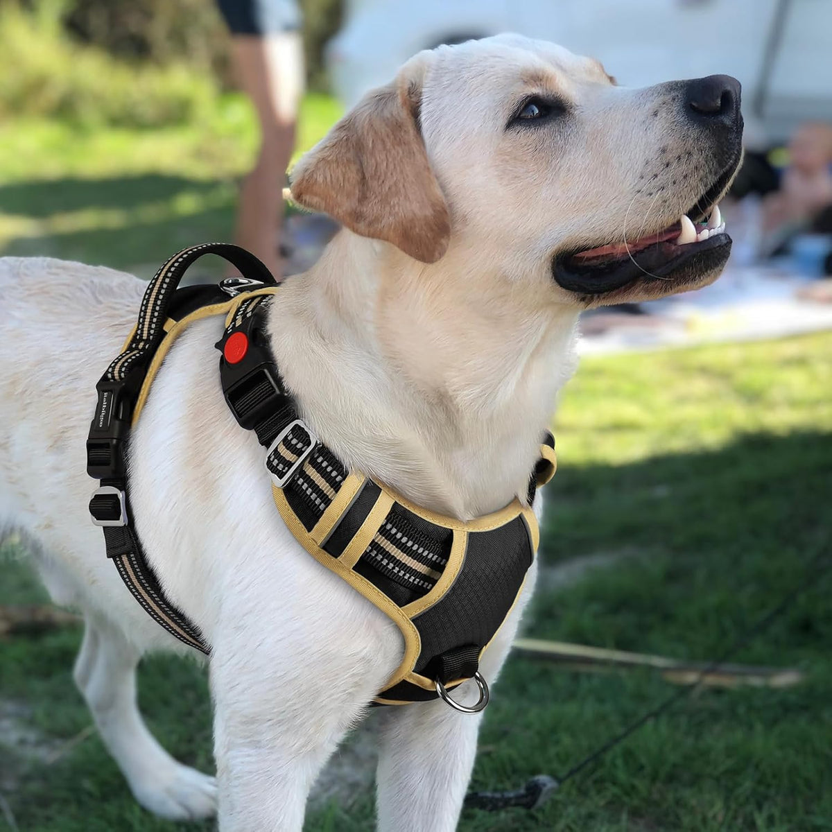 Dog Harness for Large, No Pull 3 Buckles Easy On & Off | Soft Padded, Walking with Control Handle, Adjustable and Reflective, Pink, Large