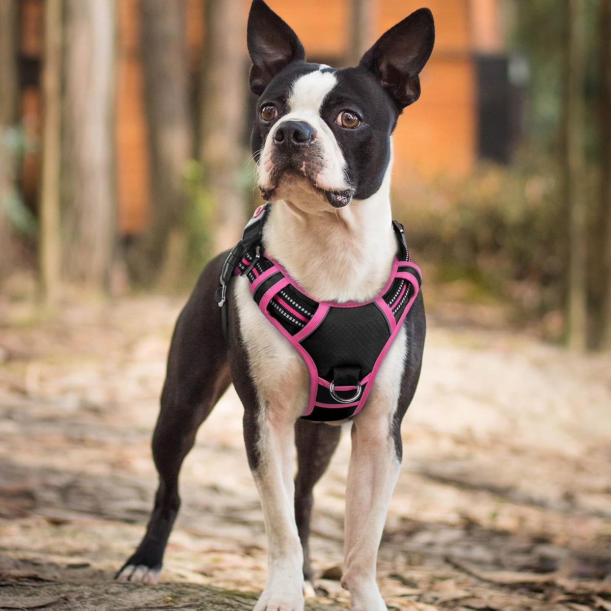 Dog Harness for Large, No Pull 3 Buckles Easy On & Off | Soft Padded, Walking with Control Handle, Adjustable and Reflective, Pink, Large
