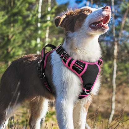 Dog Harness for Large, No Pull 3 Buckles Easy On & Off | Soft Padded, Walking with Control Handle, Adjustable and Reflective, Pink, Large