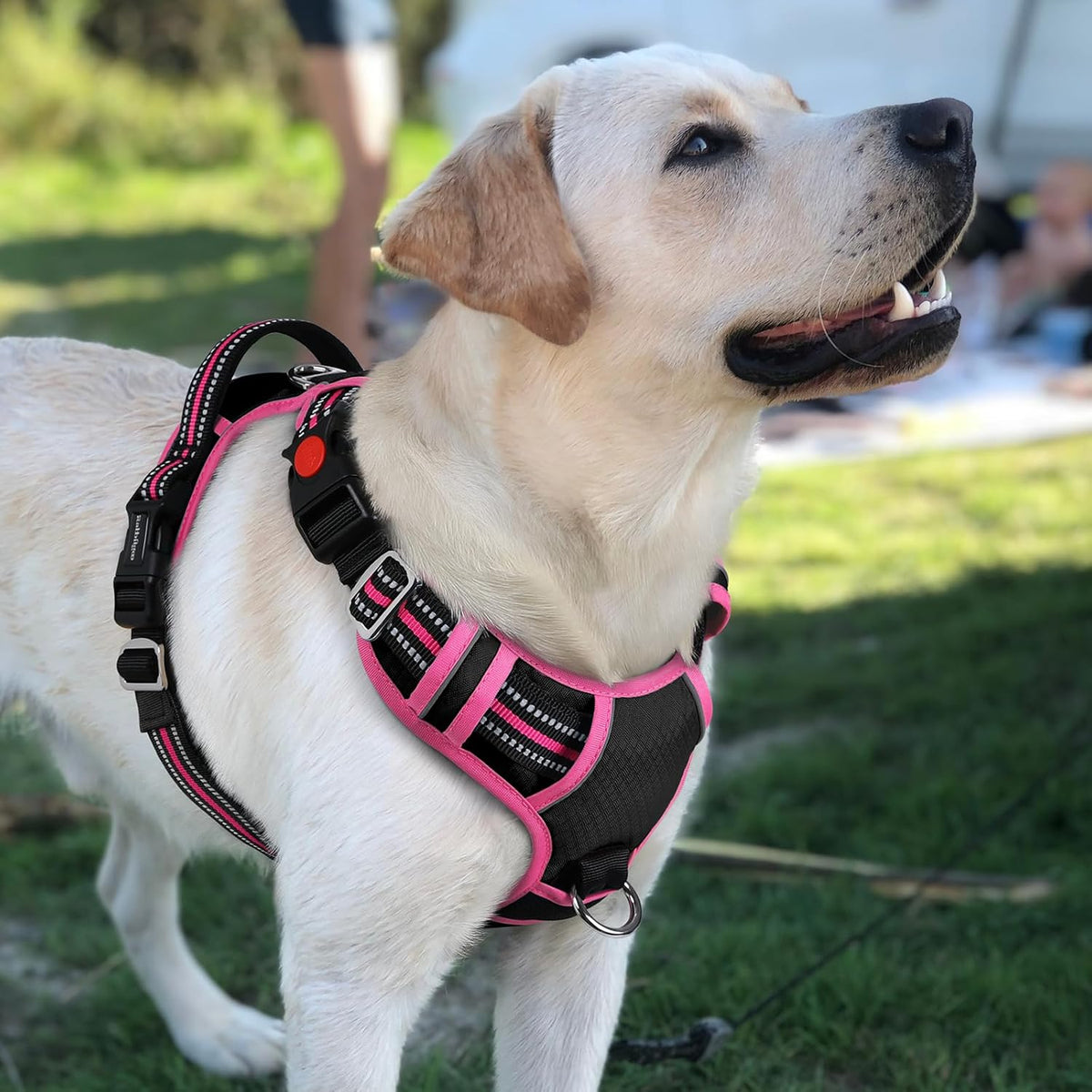 Dog Harness for Large, No Pull 3 Buckles Easy On & Off | Soft Padded, Walking with Control Handle, Adjustable and Reflective, Pink, Large