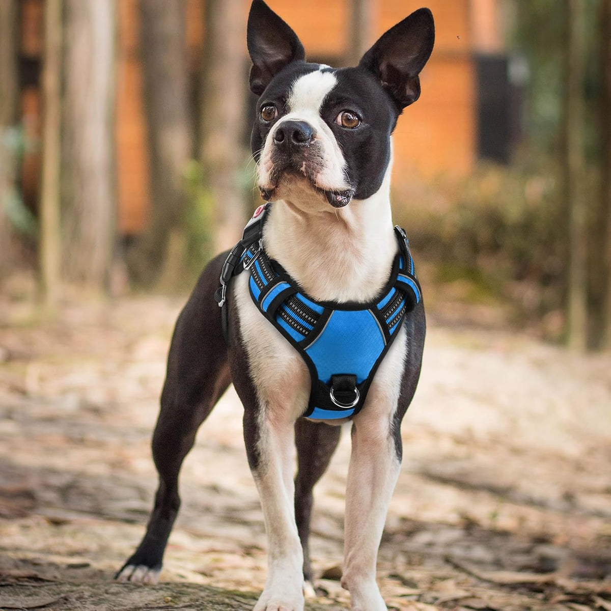 Dog Harness for Large, No Pull 3 Buckles Easy On & Off | Soft Padded, Walking with Control Handle, Adjustable and Reflective, Pink, Large