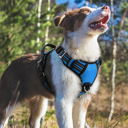Dog Harness for Large, No Pull 3 Buckles Easy On & Off | Soft Padded, Walking with Control Handle, Adjustable and Reflective, Pink, Large
