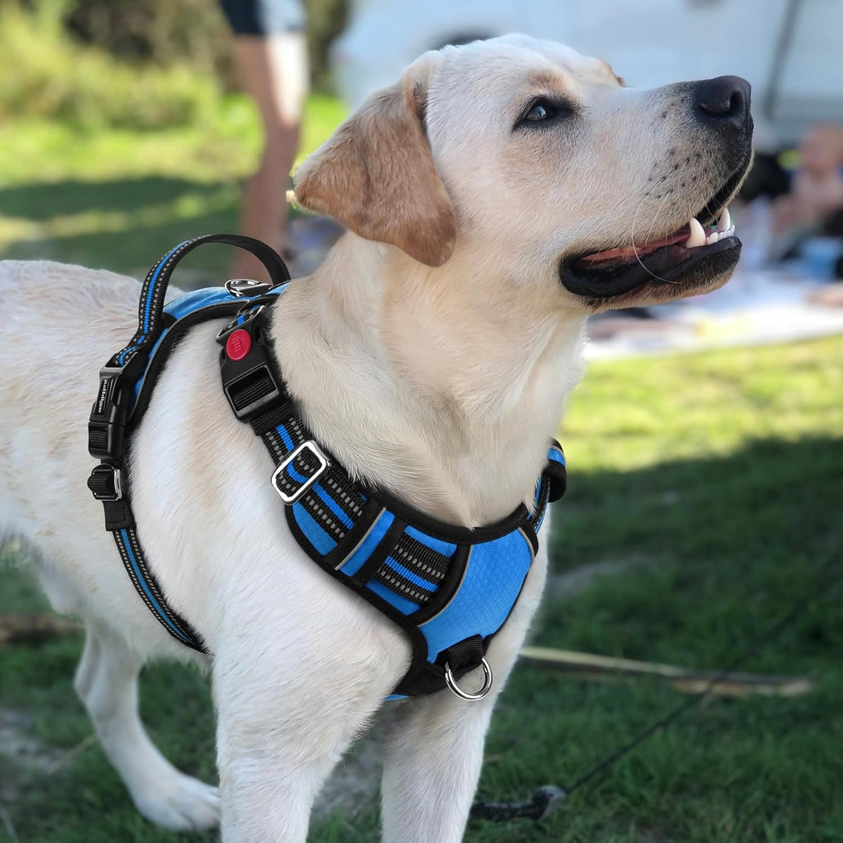 Dog Harness for Large, No Pull 3 Buckles Easy On & Off | Soft Padded, Walking with Control Handle, Adjustable and Reflective, Pink, Large