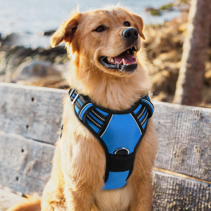 Dog Harness for Large, No Pull 3 Buckles Easy On & Off | Soft Padded, Walking with Control Handle, Adjustable and Reflective, Pink, Large