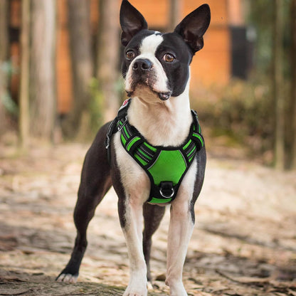 Dog Harness for Large, No Pull 3 Buckles Easy On & Off | Soft Padded, Walking with Control Handle, Adjustable and Reflective, Pink, Large