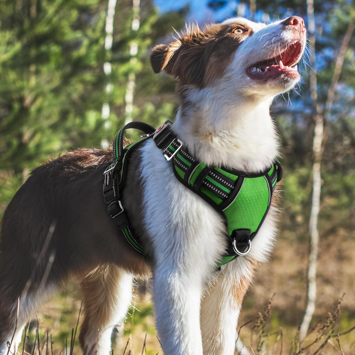 Dog Harness for Large, No Pull 3 Buckles Easy On & Off | Soft Padded, Walking with Control Handle, Adjustable and Reflective, Pink, Large