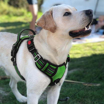 Dog Harness for Large, No Pull 3 Buckles Easy On & Off | Soft Padded, Walking with Control Handle, Adjustable and Reflective, Pink, Large