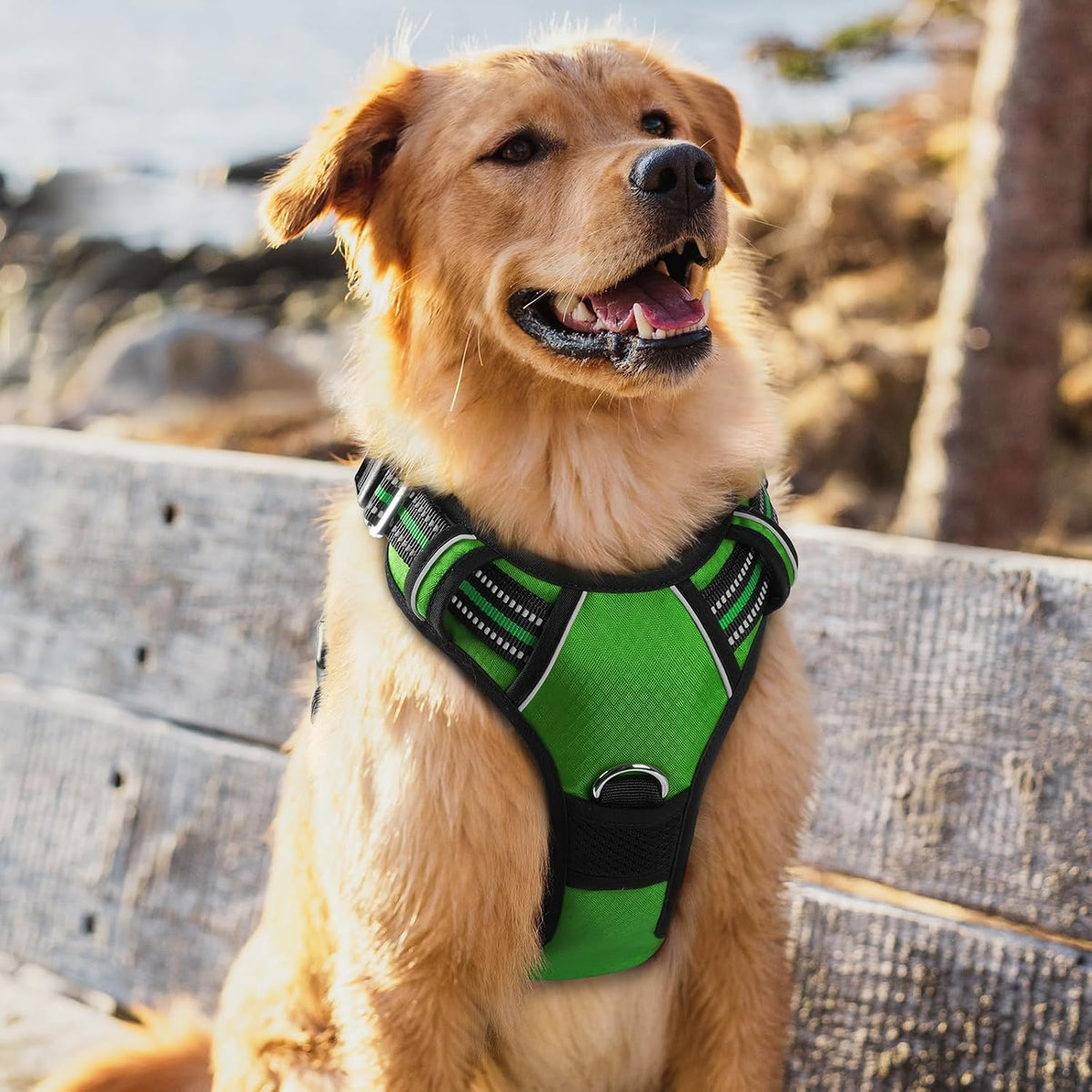 Dog Harness for Large, No Pull 3 Buckles Easy On & Off | Soft Padded, Walking with Control Handle, Adjustable and Reflective, Pink, Large