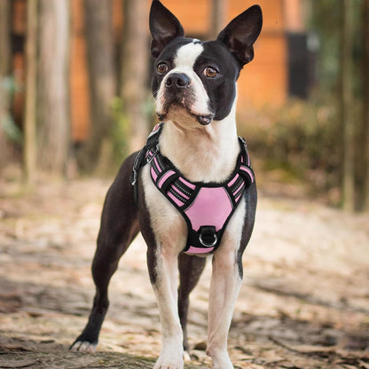 Dog Harness for Large, No Pull 3 Buckles Easy On & Off | Soft Padded, Walking with Control Handle, Adjustable and Reflective, Pink, Large
