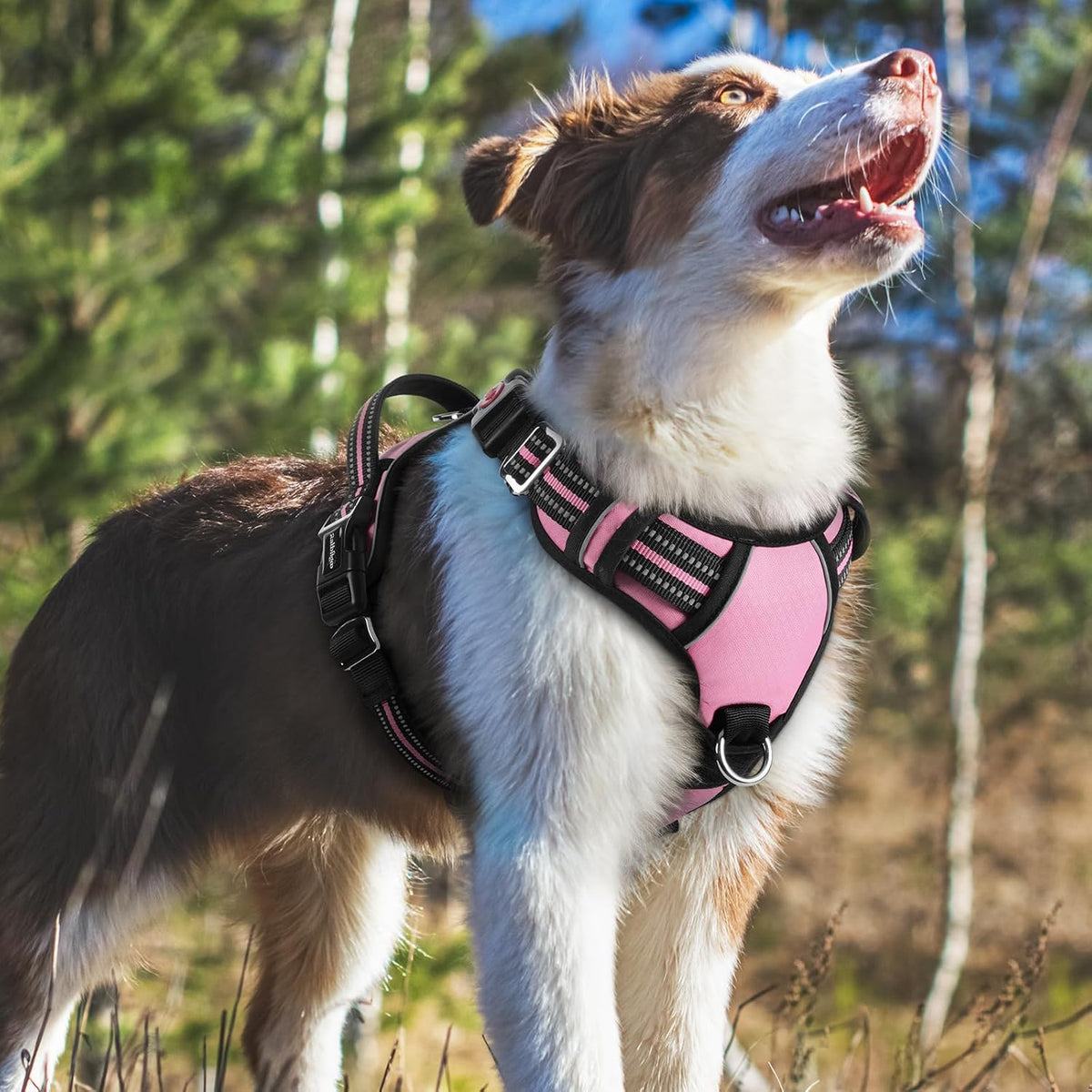 Dog Harness for Large, No Pull 3 Buckles Easy On & Off | Soft Padded, Walking with Control Handle, Adjustable and Reflective, Pink, Large